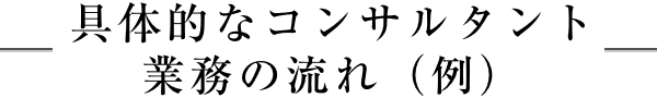 具体的なコンサルタント業務の流れ（例）